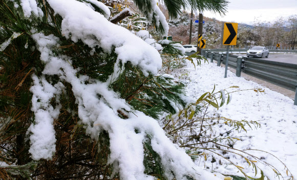한겨울된 강원 산간