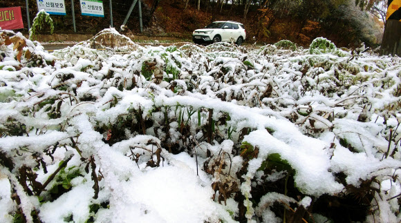 한겨울 연출하는 강원 산간도로