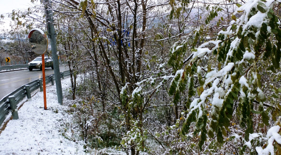 겨울로 들어간 강원 산간 도로