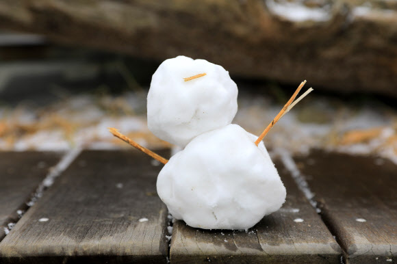평창은 하얀 눈의 나라