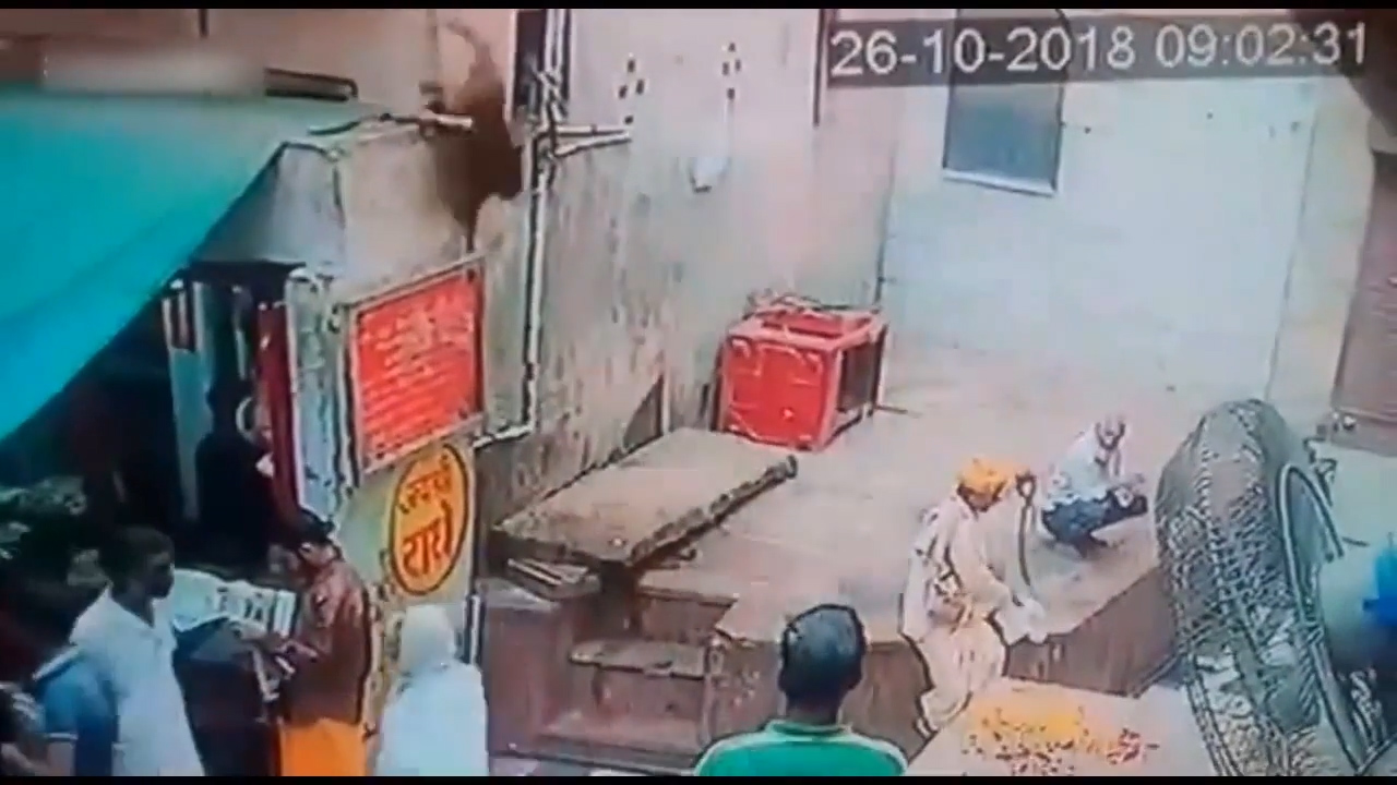 인도 한 사원 밖에서 자신의 코브라를 원숭이에게 빼앗긴 남성의 모습(유튜브 영상 캡처)