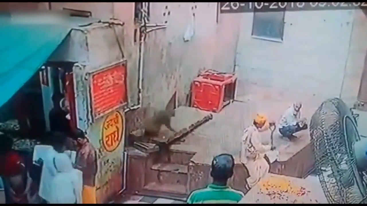 인도 한 사원 밖에서 자신의 코브라를 원숭이에게 빼앗긴 남성의 모습(유튜브 영상 캡처)