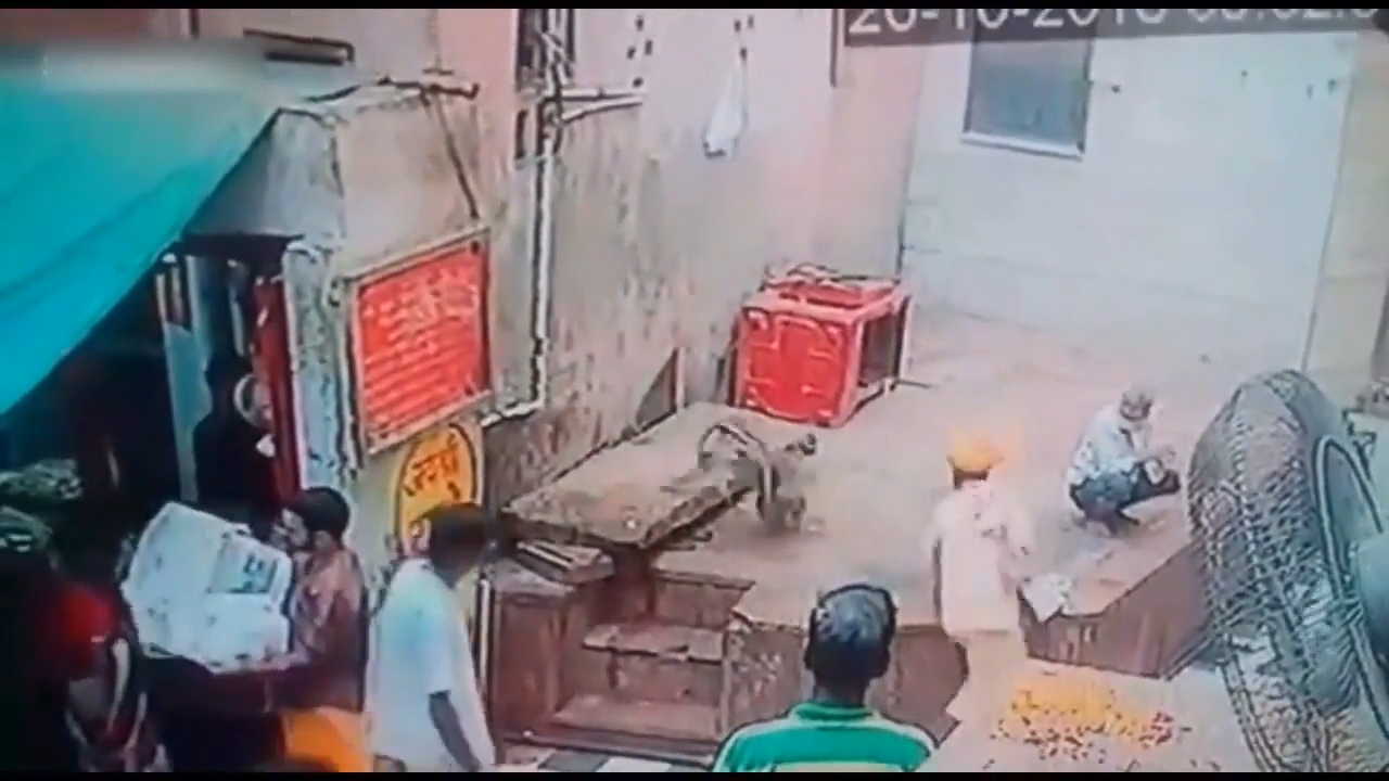 인도 한 사원 밖에서 자신의 코브라를 원숭이에게 빼앗긴 남성의 모습(유튜브 영상 캡처)