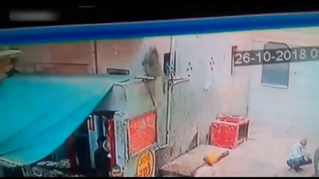 인도 한 사원 밖에서 자신의 코브라를 원숭이에게 빼앗긴 남성의 모습(유튜브 영상 캡처)