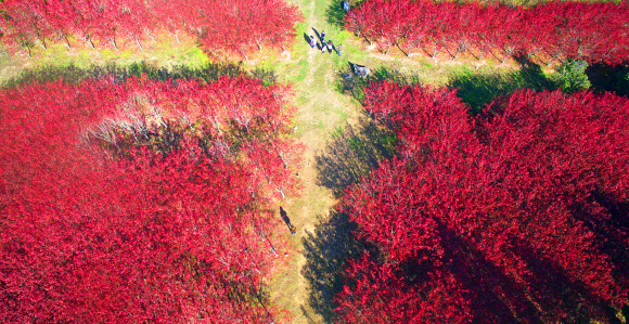 항파두리의 가을 풍경
