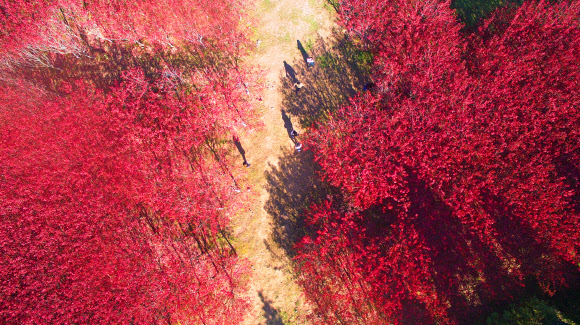 깊어가는 제주의 가을