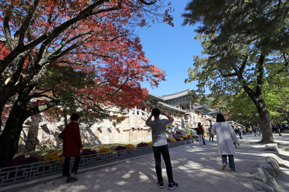 단풍으로 물든 불국사