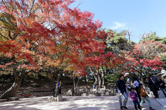 단풍으로 물든 불국사