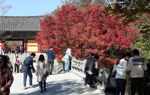 붉게 물든 불국사