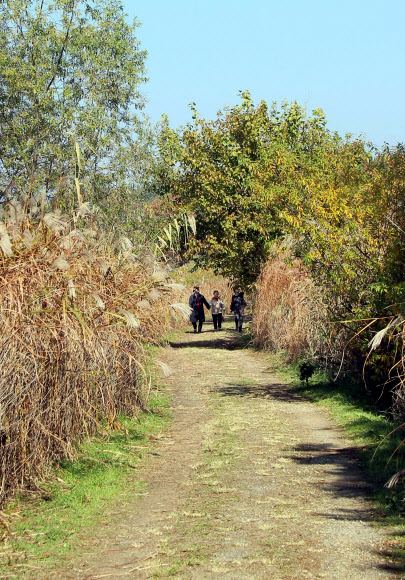 화창한 날씨를 보인 4일 대청호 오백리길 5구간인 대전시 동구 신상동 흥진마을을 찾은 나들이객들이 대화를 하며 걷고 있다. 2018.11.4  연합뉴스