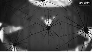 조류가 충돌한 유리창 흔적