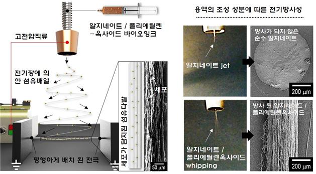 전기유체공정 모식도 성균관대 김근형 교수 연구실 제공 