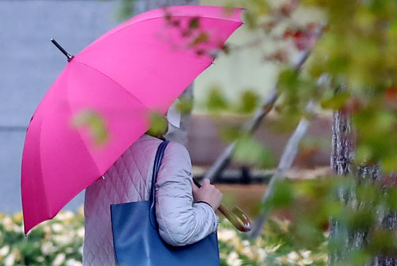 빗속 미세먼지라니