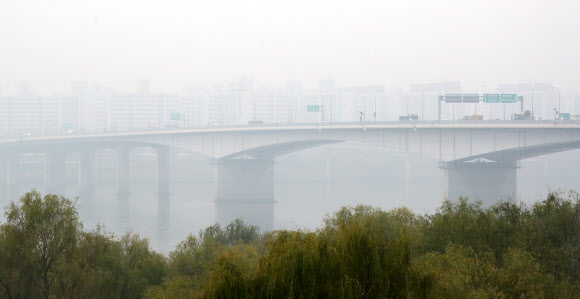 오늘도 앞이 보이질 않아