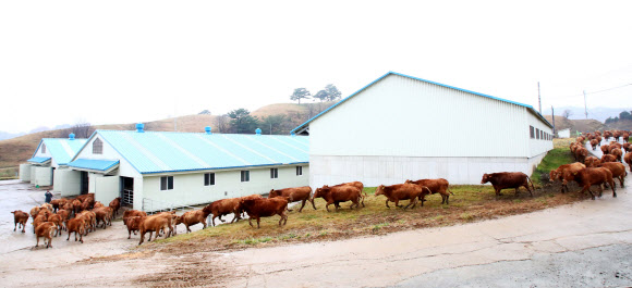 ‘집으로 들어가자’