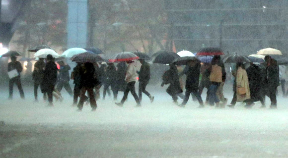 가을비 맞나 부산에 장대비