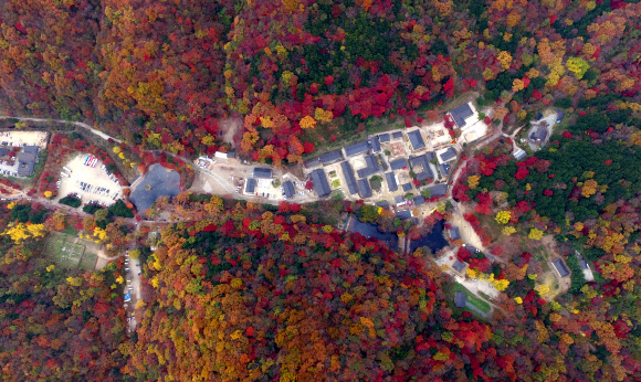 백양사의 늦가을