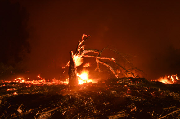 미국 캘리포니아주 말리부 지역이 9일(현지시간) ‘울시파이어’로 명명된 산불에 휩싸여 불타고 있다. AFP 연합뉴스