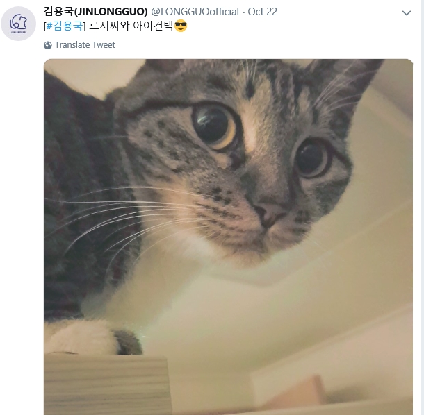 지난달 22일 김용국 트위터에 게시된 르시의 사진. 2018.11.11  김용국 트위터 캡처