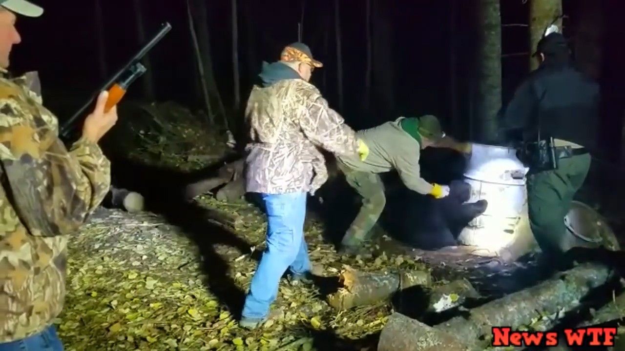 미국 미네소타 한 숲속에서 먹이를 찾던 새끼 곰이 드럼통에 목을 넣고 빼지 못하는 모습(유튜브 영상 캡처)