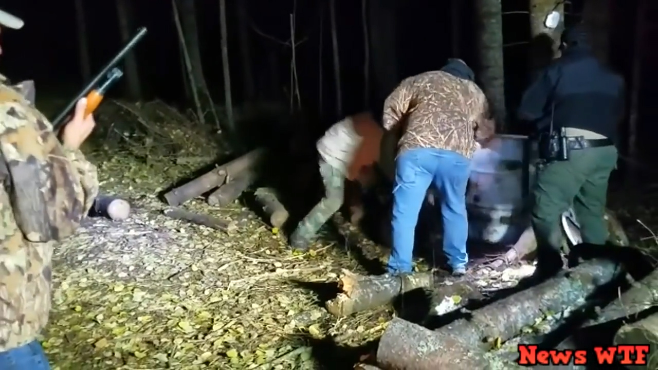 미국 미네소타 한 숲속에서 먹이를 찾던 새끼 곰이 드럼통에 목을 넣고 빼지 못하는 모습(유튜브 영상 캡처)