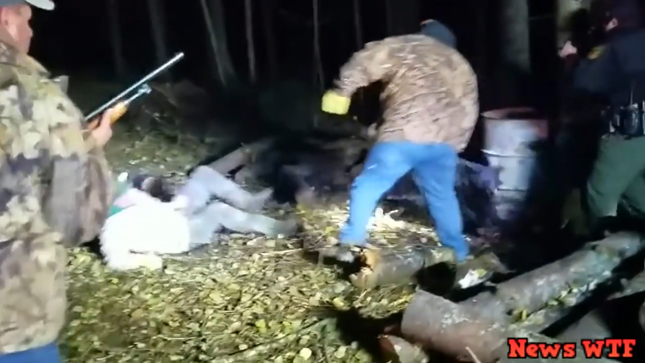 미국 미네소타 한 숲속에서 먹이를 찾던 새끼 곰이 드럼통에 목을 넣고 빼지 못하는 모습(유튜브 영상 캡처)