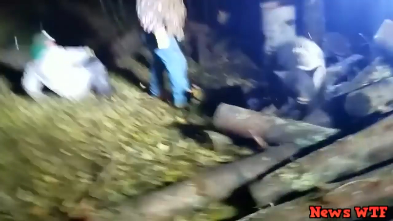 미국 미네소타 한 숲속에서 먹이를 찾던 새끼 곰이 드럼통에 목을 넣고 빼지 못하는 모습(유튜브 영상 캡처)