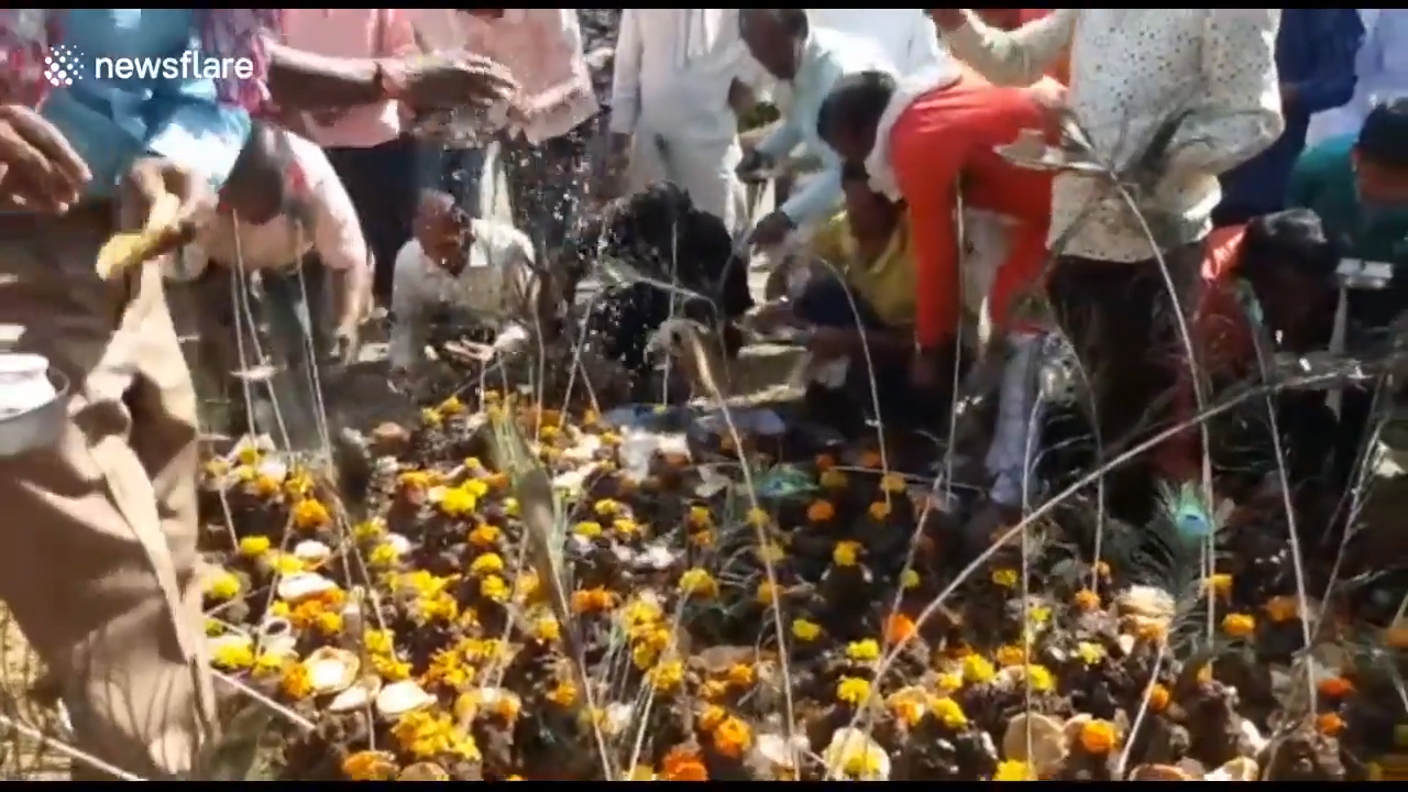 아이의 건강을 위해 소똥 위에 아이를 올려놓은 인도 부모들 모습(유튜브 영상 캡처)