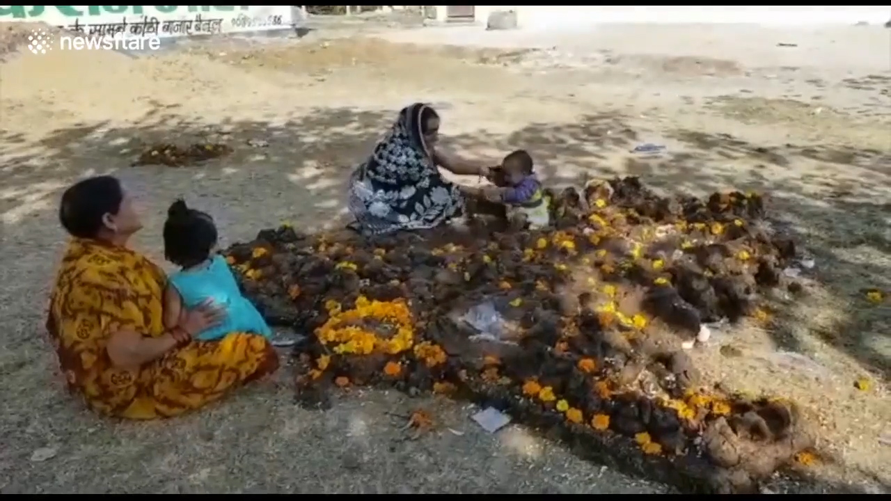 아이의 건강을 위해 소똥 위에 아이를 올려놓은 인도 부모들 모습(유튜브 영상 캡처)