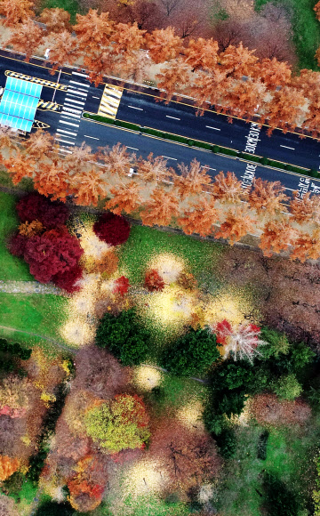 온종일 가랑비가 내린 16일 오후 광주 북구 전남대학교 교정이 비에 젖어 짙은 늦가을 정취를 풍기고 있다. 2018.11.16  연합뉴스