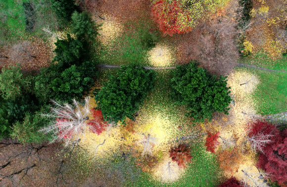 온종일 가랑비가 내린 16일 오후 광주 북구 전남대학교 교정이 비에 젖어 짙은 늦가을 정취를 풍기고 있다. 2018.11.16  연합뉴스