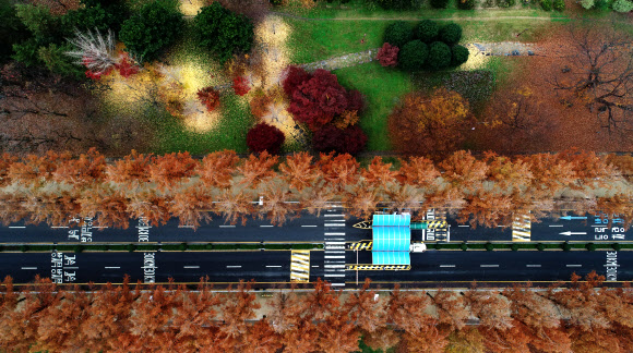 온종일 가랑비가 내린 16일 오후 광주 북구 전남대학교 교정이 비에 젖어 짙은 늦가을 정취를 풍기고 있다. 2018.11.16  연합뉴스