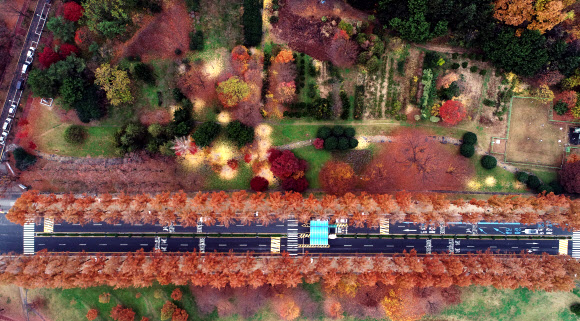 온종일 가랑비가 내린 16일 오후 광주 북구 전남대학교 교정이 비에 젖어 짙은 늦가을 정취를 풍기고 있다. 2018.11.16  연합뉴스