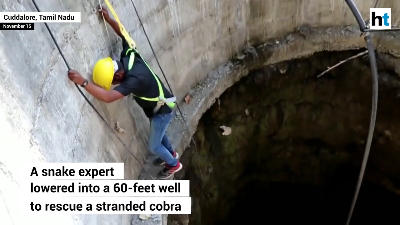 인도 뱀 전문가가 우물에 빠진 코브라를 구조해 내는 모습(유튜브 영상 캡처)
