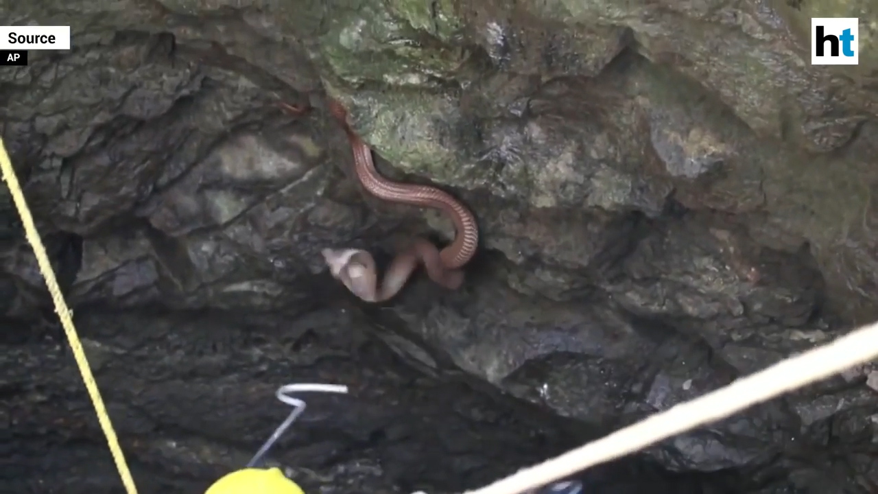 인도 뱀 전문가가 우물에 빠진 코브라를 구조해 내는 모습(유튜브 영상 캡처)
