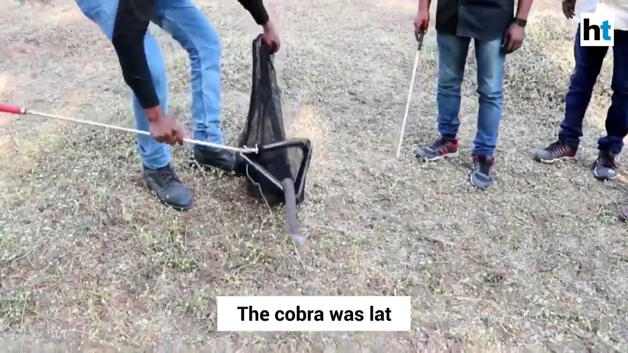 인도 뱀 전문가가 우물에 빠진 코브라를 구조해 내는 모습(유튜브 영상 캡처)