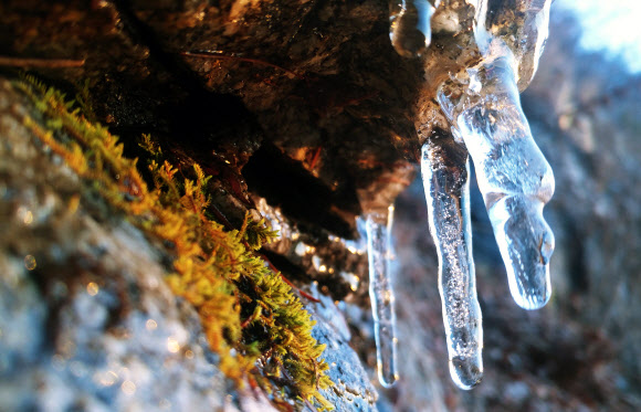 ‘춥다 추워’ 대관령 고드름 등장