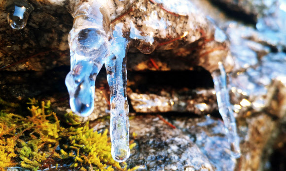 ‘춥다 추워’ 대관령 고드름 등장