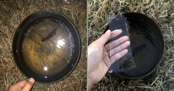 전주에서 올가을 첫 얼음 관측