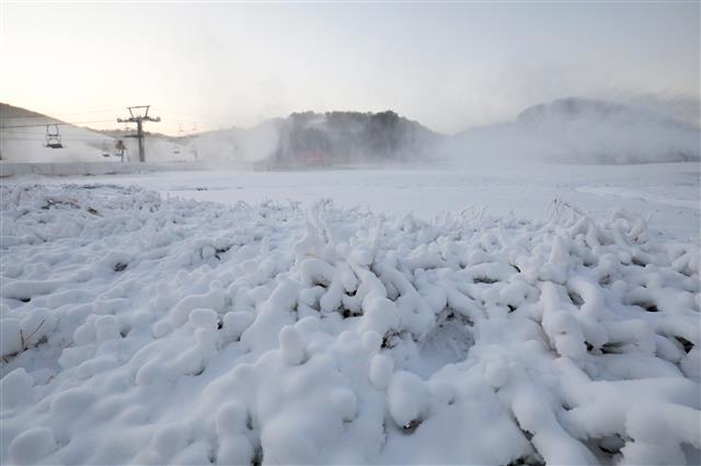 스키장은 벌써 설원