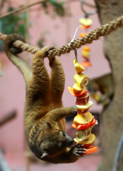 야행성입니다, 어둡게어둡게