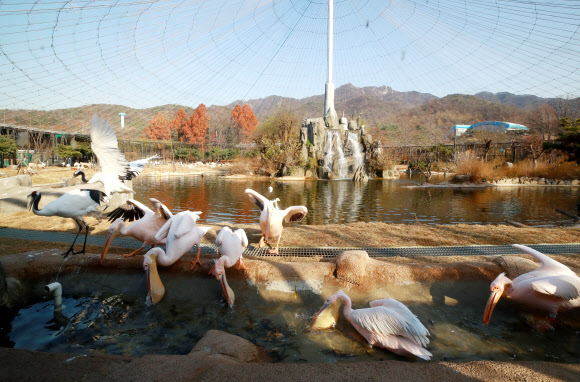 AI 예방 조치 뒤 재개장한 서울동물원 조류사