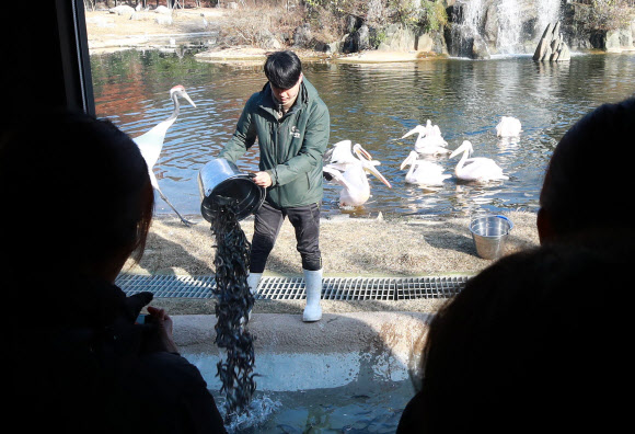 AI 예방 조치 뒤 재개장한 서울동물원 조류사
