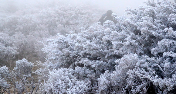 절기상 소설, 한라산에 눈꽃이