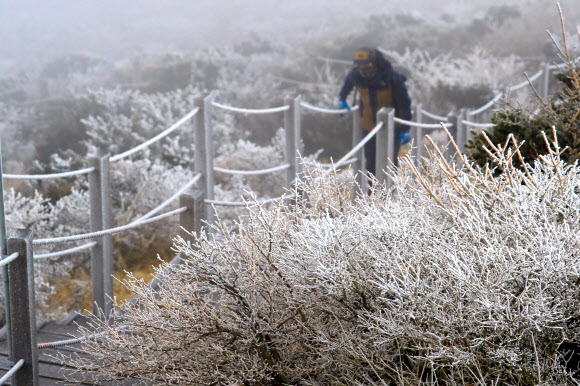 소설에 핀 한라산 눈꽃