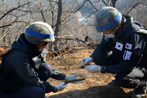 DMZ 화살머리고지서 전사자 유해 5구 추가 발견
