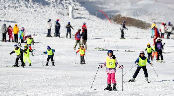 겨울 문 활짝 연 강원 스키장