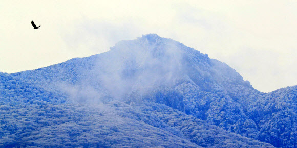 하얀 겨울옷 갈아 입은 한라산 고지대