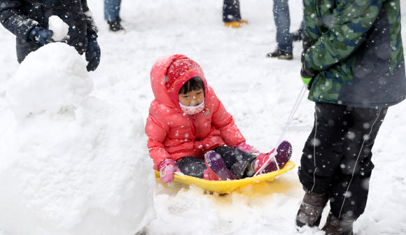 강원 내륙과 산지를 중심으로 대설주의보가 발효 중인 24일 오전 강원 춘천시의 한 아파트 단지 내 놀이터에서 어린이들이 눈썰매를 타고 있다. 2018.11.24  연합뉴스