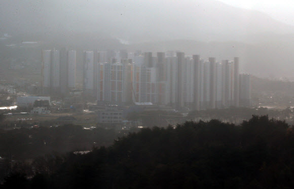 동해안까지 뒤덮은 황사